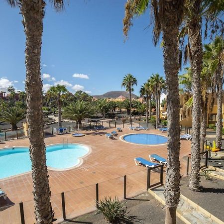 Lightbooking Oasis Royal Corralejo F311 Luaran gambar